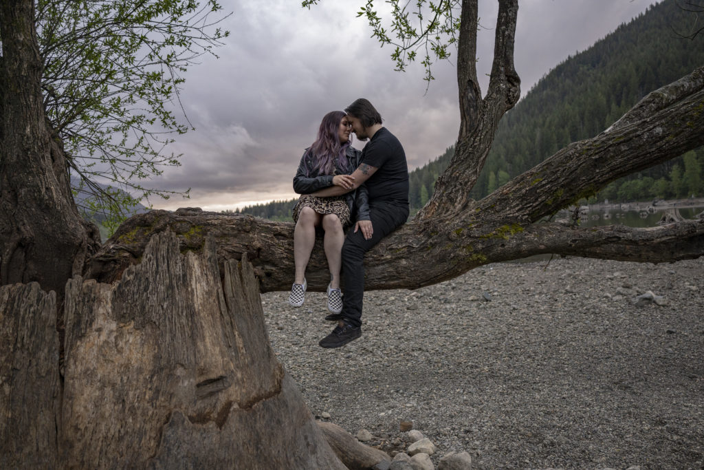 Couple sitting in a tree while the sunsets behind them at Rattlesnake Lake, Washington.