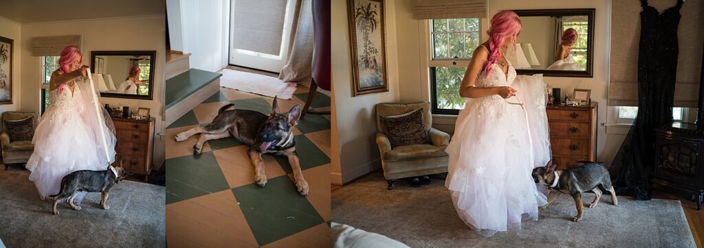 Bride and Her Puppy getting ready for her micro wedding ceremony.
